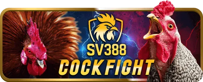 Chương Trình VIP mm88b